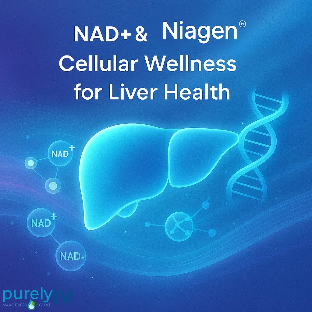 NAD+ and Alcohol: What the Liver Studies Show