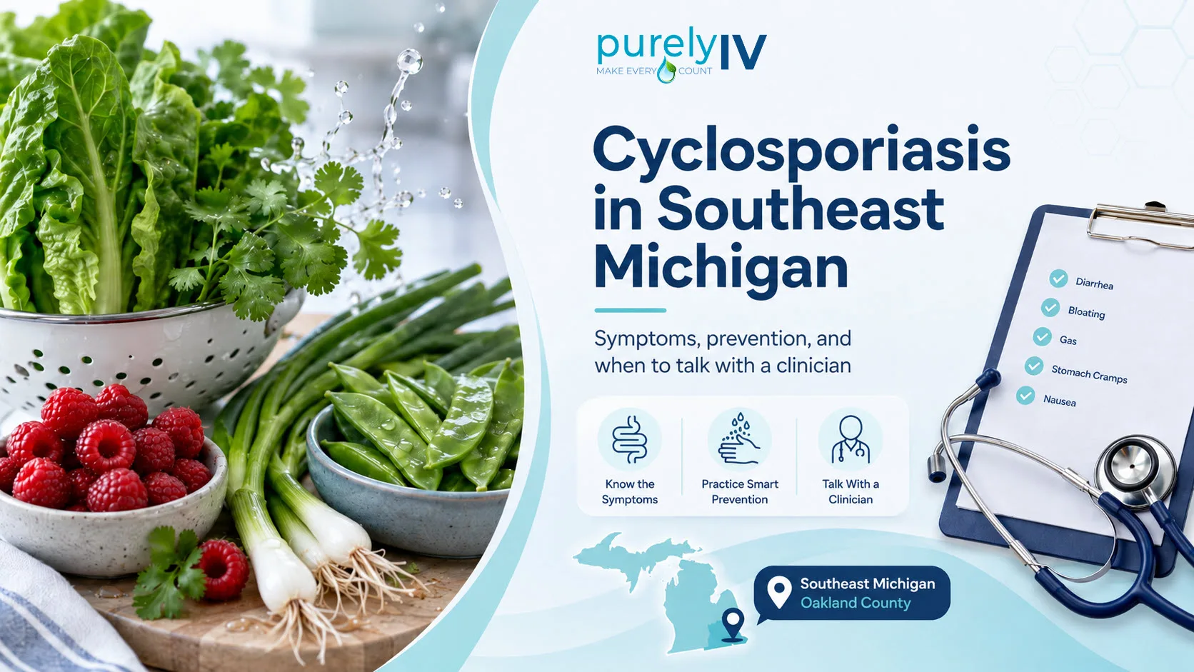Fresh produce and clinician checklist for a cyclosporiasis article focused on Southeast Michigan